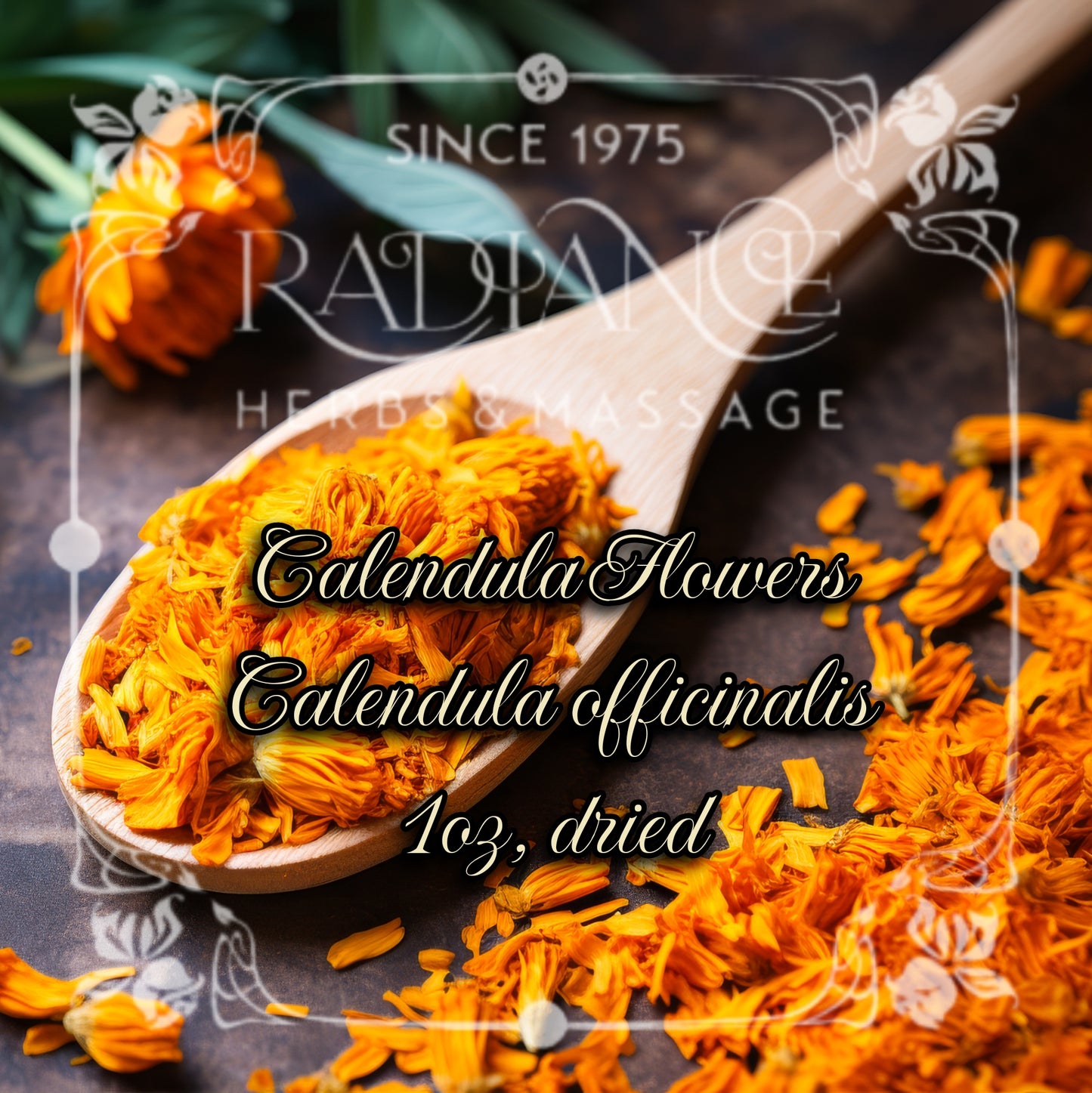 Calendula Flowers, Calendula officinalis - 1oz, dried,