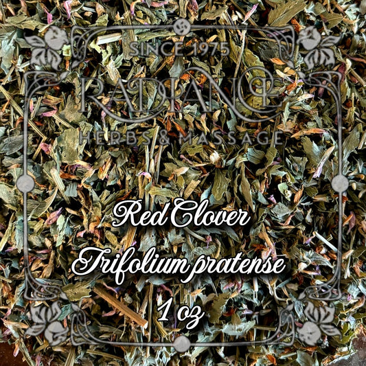 Red Clover (whole plant), Trifolium pratense, 1oz dried