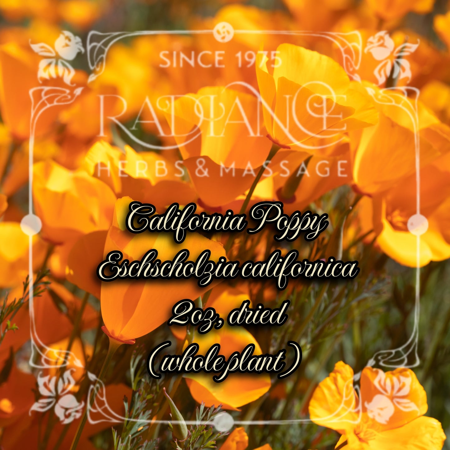 California Poppy Dried, Eschscholzia californica - 2oz, dried (whole plant)