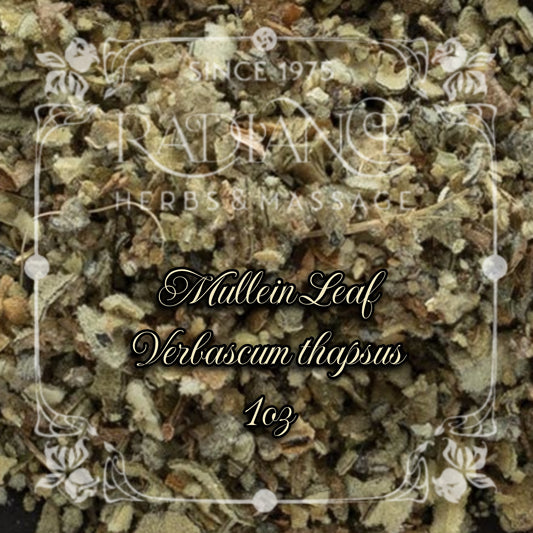 Mullien Leaf, Verbascum thapsus, 1oz