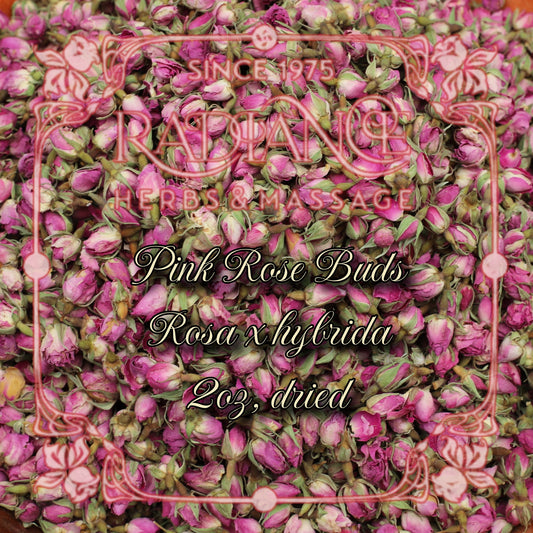 Rose Buds, Rosa × hybrida, 2oz dried